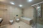 Apartament spectaculos cu terasă și grădină | Mircea Eliade, Primăverii - 15