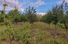 Teren intravilan in Uileacu de Munte, comuna Paleu, judetul Bihor - 7
