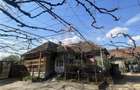 Casa cu teren de 2300 mp in Almasul Mare Bihor