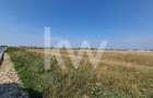 Teren Intravilan i Industrial I 2.000 mp – Brasov, Str Carierei