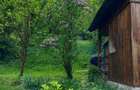 Teren Construcții intravilan de 5000 mp, în Poseștii-Pământeni
