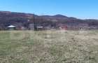 Teren extravilan 1.000 mp Valea Draganului - 2