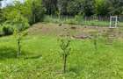 Teren de vanzare in Aiton - 1
