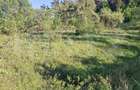 Teren extravilan de vanzare, 10.000 mp, in Valea Zizinului - 1
