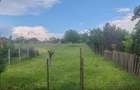 Vand teren intravilan in Valea Calugareasca 883 mp - 1