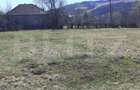Teren extravilan 1.000 mp Valea Draganului - 1