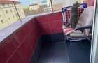 proprietar inchiriez apartament 3 camere zona Torontalului Iulius Mall - 6