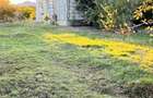 Gageni, Paulesti, vand casa P+E, supr. desfasurata 211 mp, deschidere 24 ml