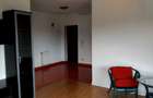 Apartament 1 camera, 40 mp + balcon 20 mp, parcare inclusa, zona VIVO! / Valea Garbaului - 5