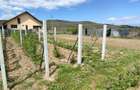 Vand sau schimb casa din 2017 in Predesti , Nicolae Balcescu, Valcea - 8