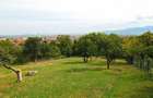 Teren Intravilan 3290 mp Codlea 3 Parcele - 5