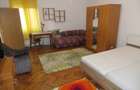 Apartament 1 camera, foarte spa?ios, cu termoteca, central - Podgoria - 9