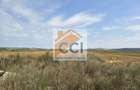 Teren intravilan 50.000 mp, Bacau, ?oseaua Hol - 11