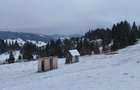 Teren extravilan de vanzare in Bucovina Breaza zona Paraul Negrei - 6