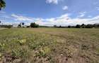 De vanzare teren industrial intravilan in suprafa?a de 5.000 mp - 4