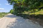 Teren 2,800mp de Vanzare - Crihan(Magura) - Bacau