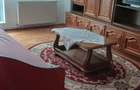 Pe Bd.Traian,central, de inchiriat apartament cu 2 camere decomandat, mobilat, utilat - 4