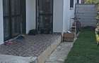 Olteni (Clinceni) 3 dormitoare plus living - 8