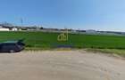 Teren intravilan 13.602 mp | Dragomiresti Vale | Sos. de Centura - 9