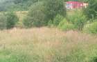 Teren Apuseni linga drum - 3