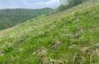 Teren de construit | 1015 mp | intravilan - 2