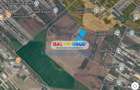 Vanzare teren 5000mp Magurele zona Atomistilor