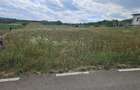 Loturi Teren de vanzare in Cri?eni - 3