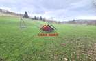 Teren extravilan Valea Doftanei 20.500 mp 6e mp - 1