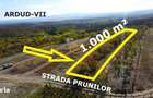 Teren intravilan cu livada 1.000 m2 in Ardud-Vii, view spectaculos!