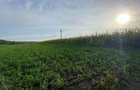 Teren intravilan de vanzare - Patrauti, Suceava - 5