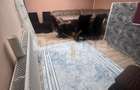 Casa Ghe. Doja BCR 242 mp teren 109000 euro !
