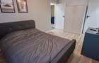 3 camere|Calea Giulesti|parter|modern|pet friendly - 13