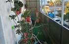 Proprietar inchiriez apartament 2 camere
