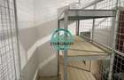 De inchiriat apartament cu 2 camere la Maurer cu parcare Subterana - 13
