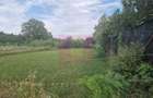 650 mp de liniste, natura si aer curat in Brebu, Prahova