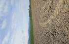 Vanzare teren agricol - 3