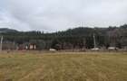Teren intravilan 22276 mp Vatra Dornei - 7