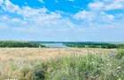 RASOVA Cochirleni Teren extravilan 38 Hectare comasat 100% - 4