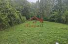 Casa de vanzare Breaza- teren 2549 mp - 13