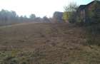 Teren intravilan 4900 mp - 1
