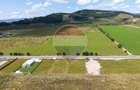 Teren intravilan 996 mp Calea Harmanului, priveliste la Dealul Lempes - 6