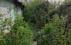 Vanzare teren intravilan 1.200 mp cu deschidere dubla Balta Neagra, comuna Nuci (Ilfov) - 5