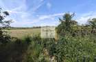Teren de 11.000 mp cu casa si teren agricol | La 40 km de Bucuresti | - 18