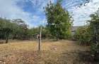 Casa + teren 1.065 mp | Domnesti – Zona Toamnei | Deschidere 20 ml