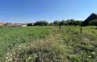 Teren intravilan 2.162 mp cu dubla deschidere | Miercurea Sibiului - 7