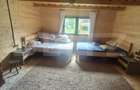 Cabana cu parau si brazi maturi, 1400mp, Valea Fericirii - 11