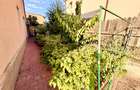 Casa P+1+M. 4 cam. Foisor cu beci. Util 161mp. Teren 327mp - 4