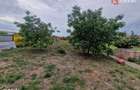 Casa individuala de vanzare cu 5 camere si teren de 2543 mp - Izvin - 7