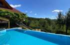 Domeniu exclusivist 17.000 mp | Vila luxury cu piscina & SPA Carbu - 9