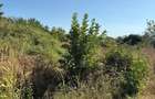 Teren de 2650 mp, în Central - 5